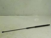 Amortiguador/puntal del capó/tapa delantero