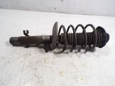Amortiguador delantero con muelle espiral
