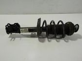Front shock absorber with coil spring