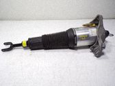 Amortiguador delantero con muelle espiral