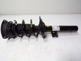 Front shock absorber with coil spring