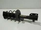 Amortiguador delantero con muelle espiral