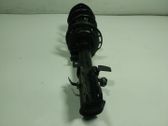 Front shock absorber with coil spring