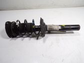 Amortiguador delantero con muelle espiral