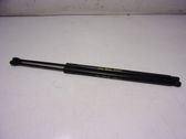 Tailgate/trunk strut/damper