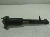 Rear shock absorber/damper