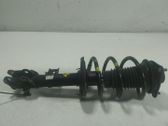 Amortiguador delantero con muelle espiral