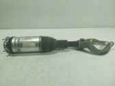 Front shock absorber with coil spring