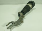 Amortiguador delantero con muelle espiral