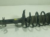 Amortiguador delantero con muelle espiral