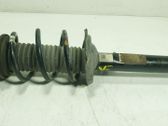 Amortiguador delantero con muelle espiral