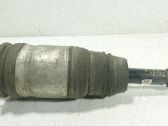 Stoßdämpfer hinten