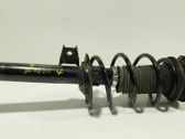 Amortiguador delantero con muelle espiral