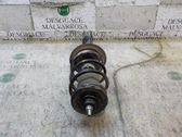 Amortiguador delantero con muelle espiral