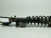 Front shock absorber with coil spring