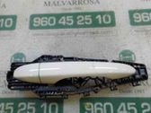 Manecilla externa puerta trasera