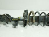 Amortiguador delantero con muelle espiral