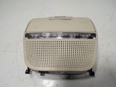 Consola de luz del techo