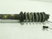 Rear shock absorber/damper