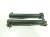 Tailgate/trunk strut/damper