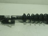 Rear shock absorber/damper