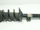 Amortiguador delantero con muelle espiral