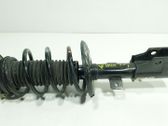 Amortiguador delantero con muelle espiral