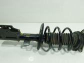 Amortiguador delantero con muelle espiral
