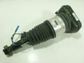 Amortiguador trasero