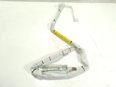 Airbag de la puerta delantera