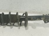 Amortiguador delantero con muelle espiral