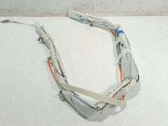 Airbag de la puerta delantera