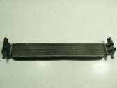 Radiador intercooler