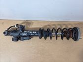 Rear shock absorber/damper