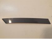 Fender trim (molding)