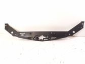 Engine bonnet/hood lock trim molding