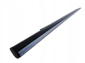 Rear door glass trim molding