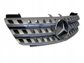 Front bumper upper radiator grill