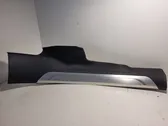Rear sill trim cover