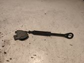 Throttle cable