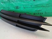 Front fog light trim/grill