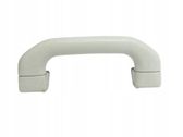 Front interior roof grab handle