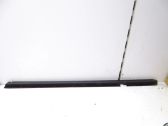 Front door trim (molding)