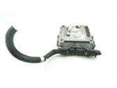 Engine control unit/module ECU