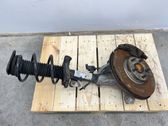 Front shock absorber with coil spring