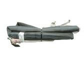 Roof airbag