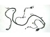 Other wiring loom