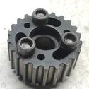 Fuel pump gear (pulley)