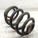 Rear coil spring