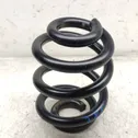 Rear coil spring